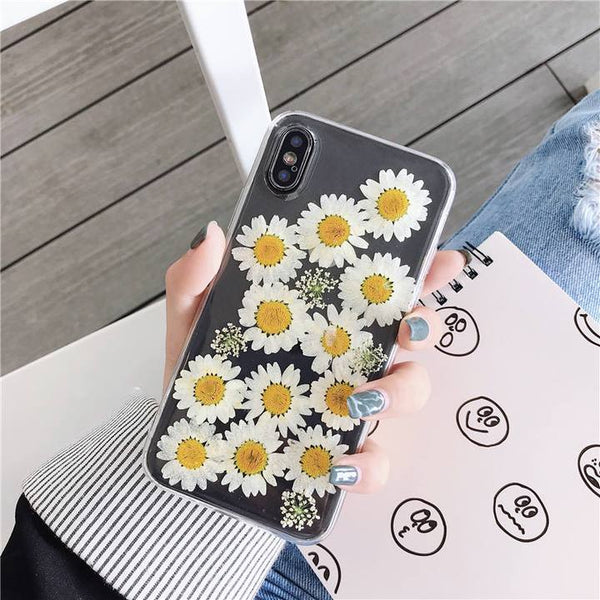 Dried Daisy Case