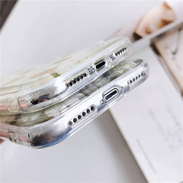 Dried Daisy Case
