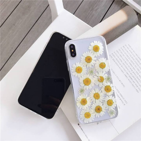 Dried Daisy Case