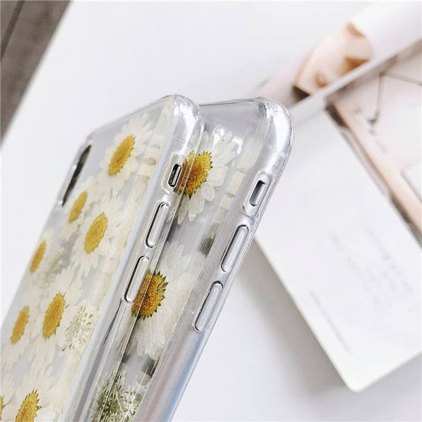 Dried Daisy Case