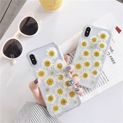 Dried Daisy Case