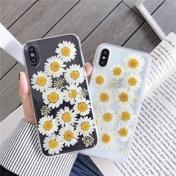 Dried Daisy Case