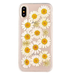 Dried Daisy Case