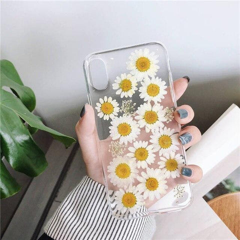 Dried Daisy Case
